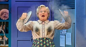 Mrs Doubtfire The Musical at the Shaftebury Theatre Review