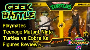 Teenage Mutant Ninja Turtles vs Cobra Kai Donatello vs Johnny Lawrence Playmates Action figure Review