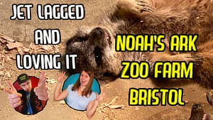 Noah’s Ark Zoo Farm Bristol Review: Jet Lagged and Loving It