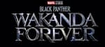 Marvel Announces Black Panther Wakanda Forver and The Marvels In New MCU Trailer