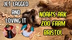 Noah’s Ark Zoo Farm Bristol Review: Jet Lagged and Loving It
